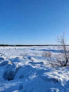 Marjaniemi