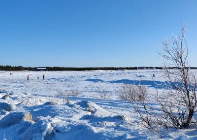 Hailuoto